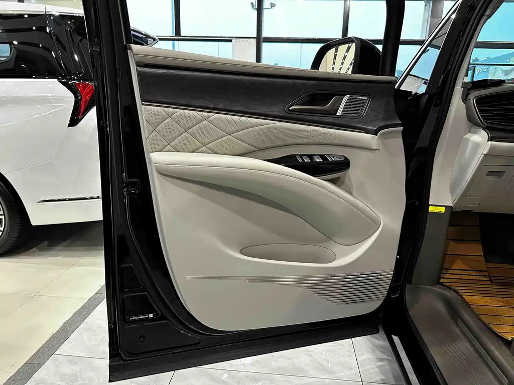Denza Denza D9 — миниатюра 24
