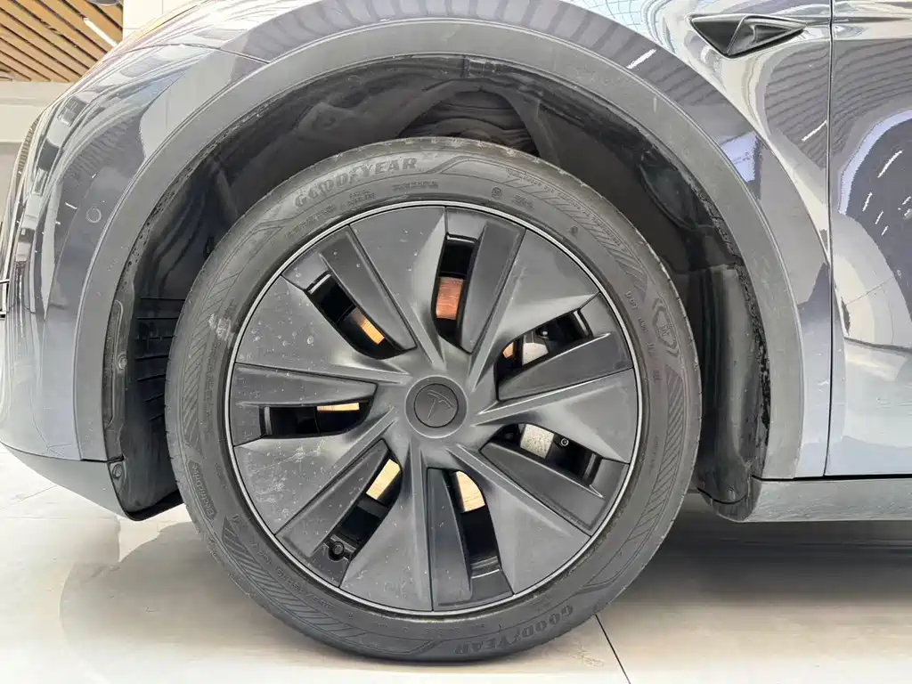 Tesla Model Y — миниатюра 22