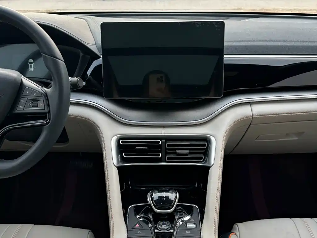 BYD PLUS New Energy — миниатюра 23
