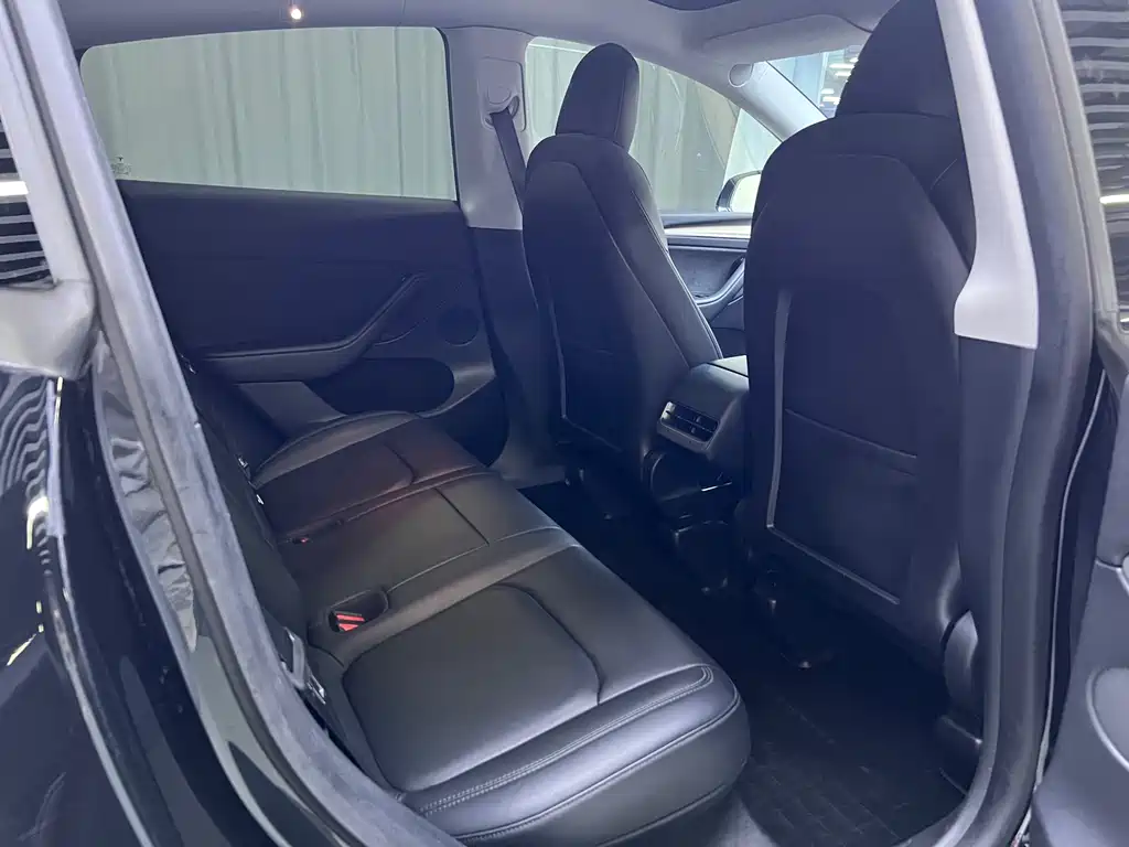 Tesla Model Y — миниатюра 15