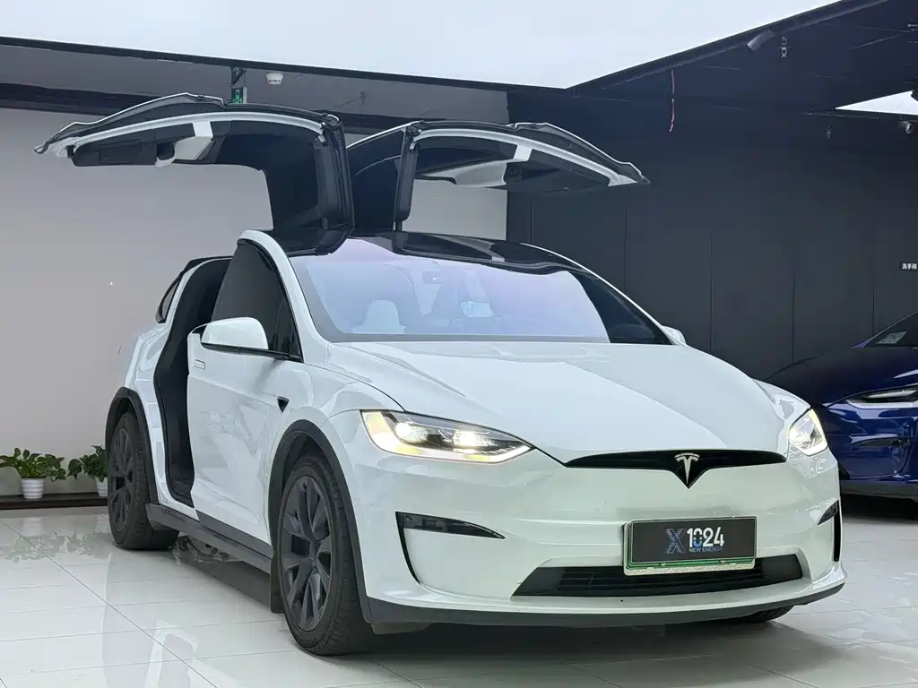 Tesla Model X — миниатюра 3