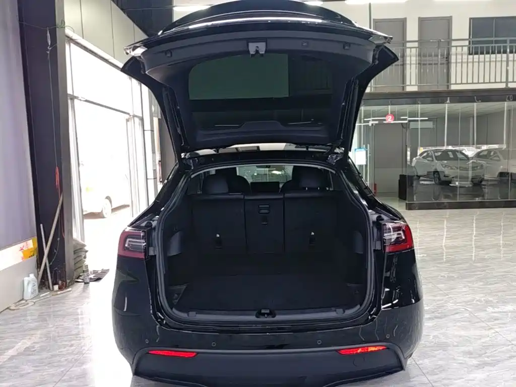 Tesla Model Y — миниатюра 19