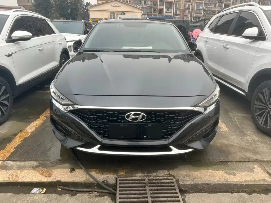 Hyundai Fista — миниатюра 2