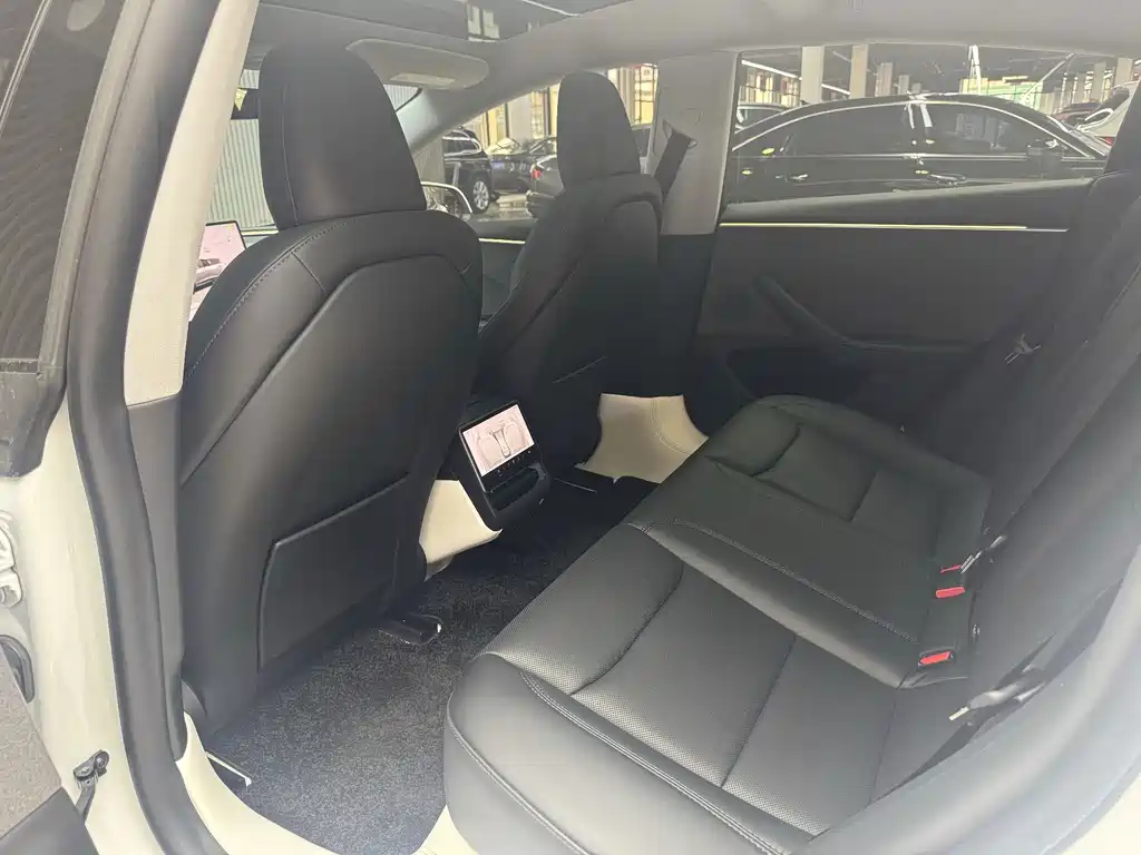 Tesla Model 3 — миниатюра 6