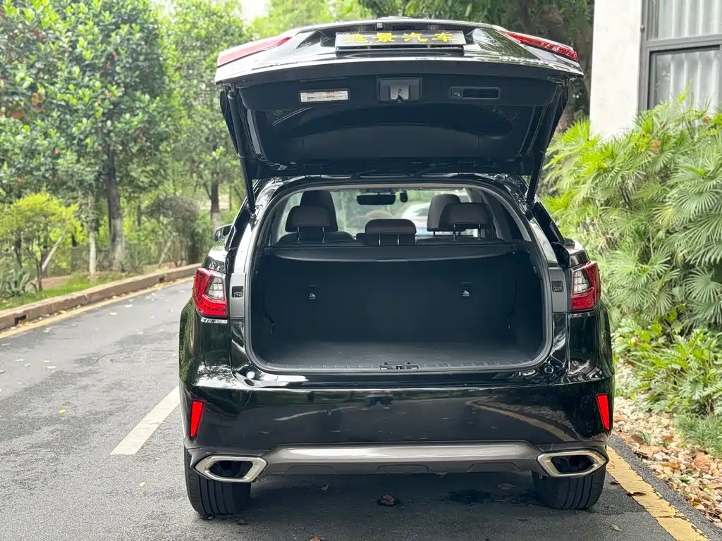 Lexus RX 2020 300 Elegant VI
