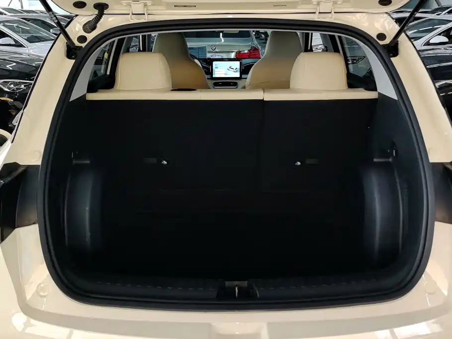 Geely Geome Xingyuan 2025 310km