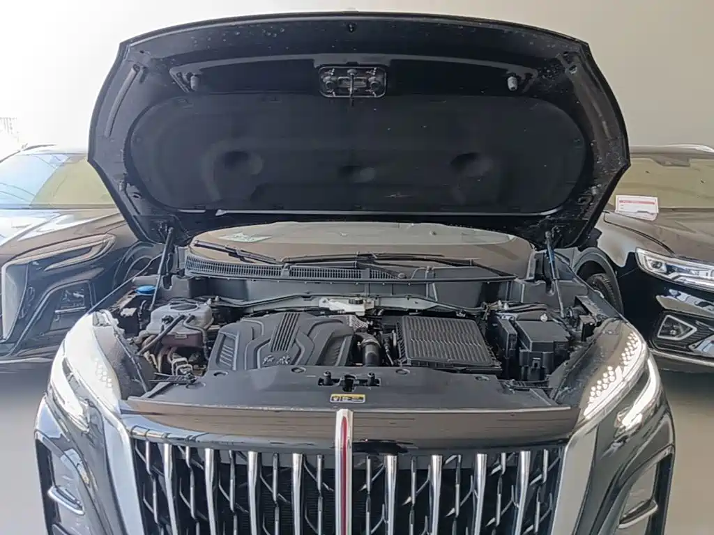 Hongqi Hongqi HS3 PHEV — миниатюра 20
