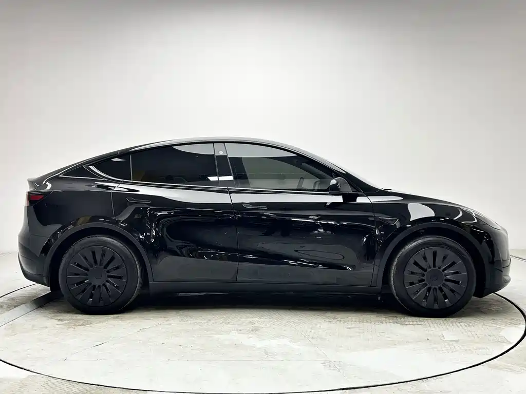 Tesla Model Y — миниатюра 4