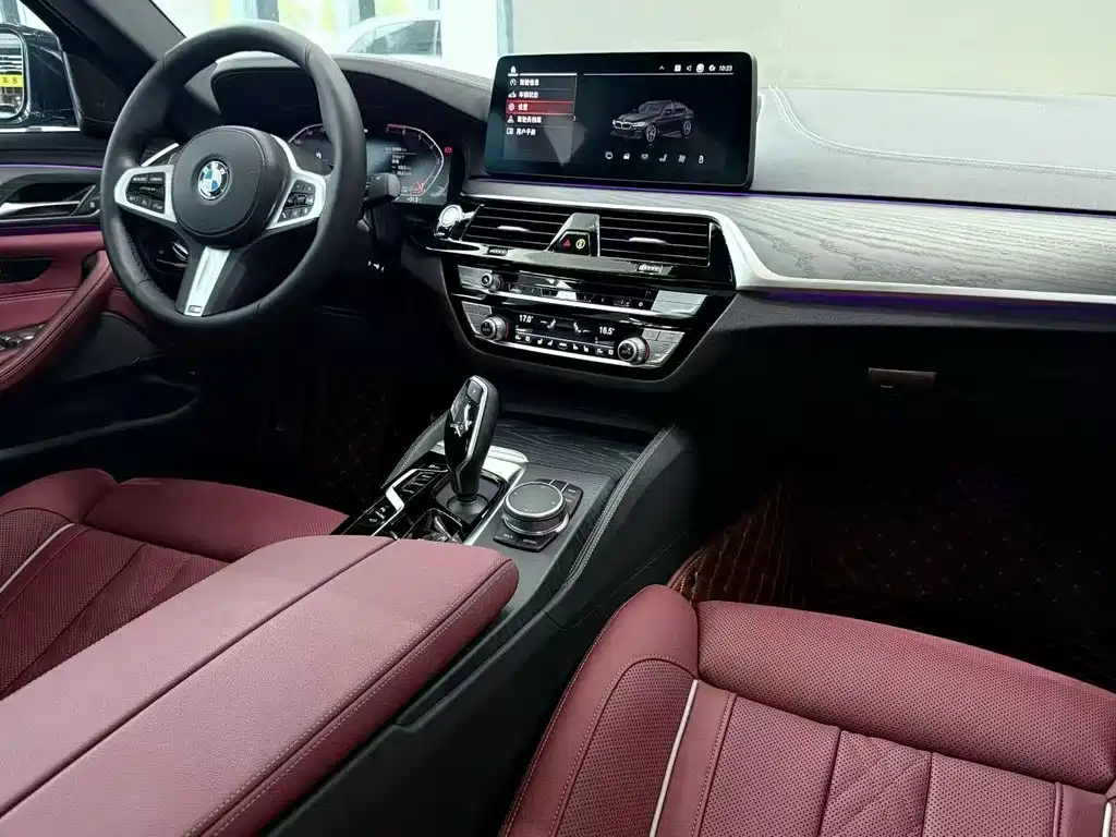 BMW 5 Series 5 2021 530Li Premium M Sport