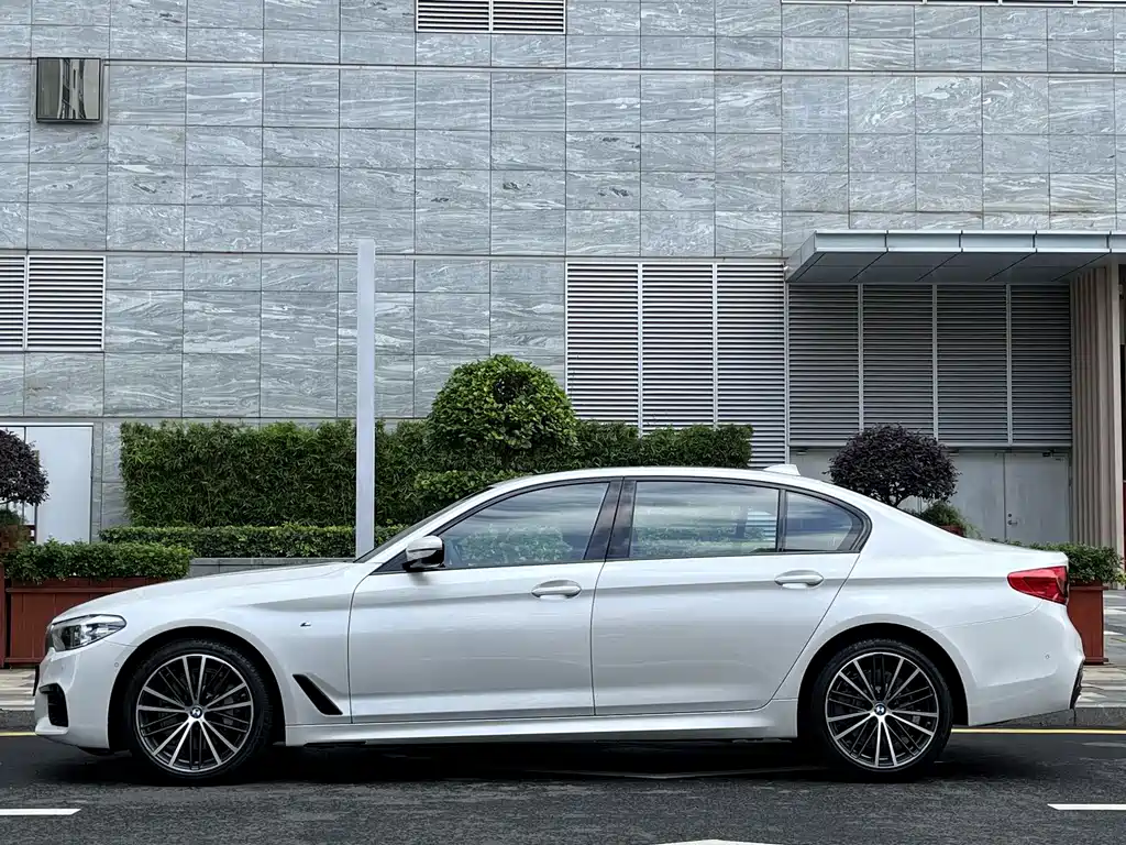 BMW 5 Series 5 2019 530Li Lead M Sport
