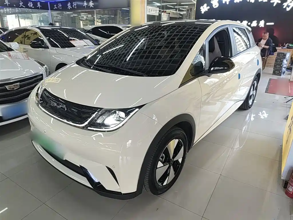 Byd Dolphin 2023
