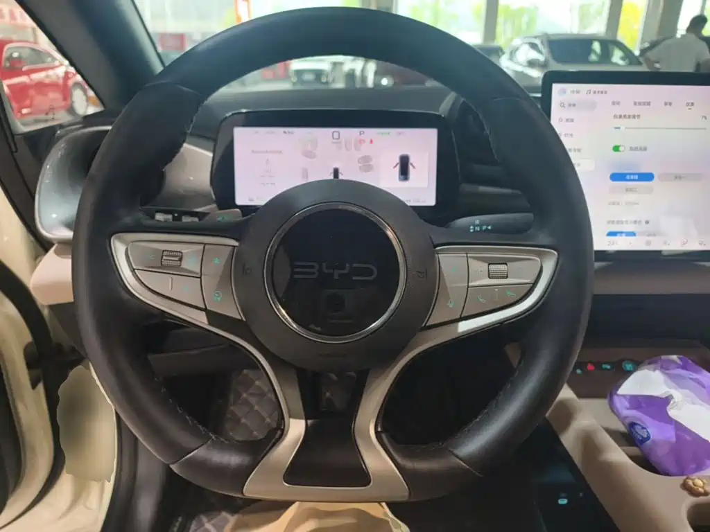 BYD Dolphin — миниатюра 11