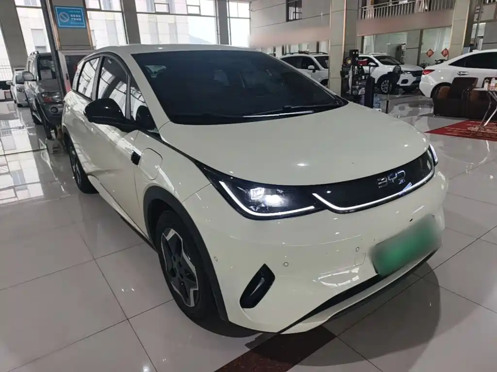 BYD Dolphin — миниатюра 4