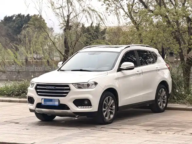 2017 Haval H2