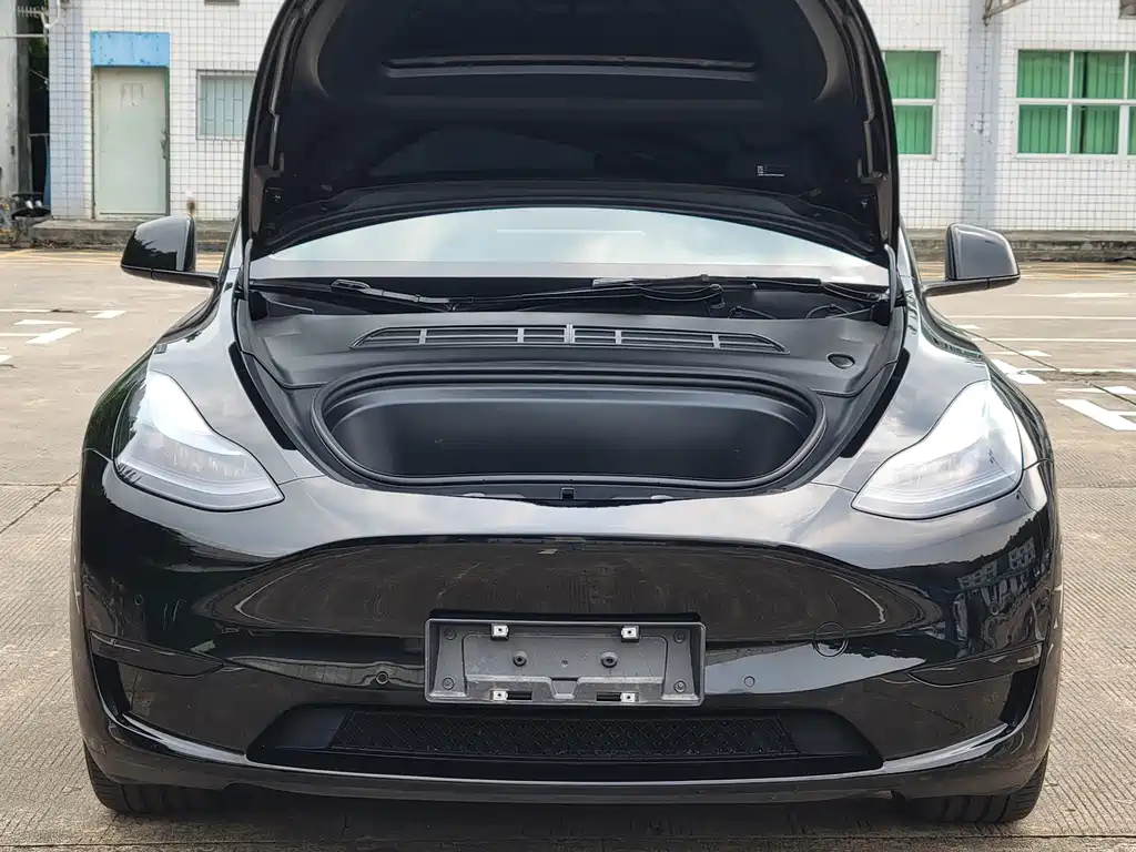 Tesla Model Y — миниатюра 4