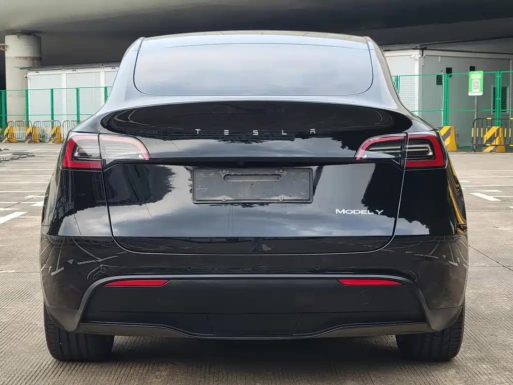 Tesla Model Y — миниатюра 11