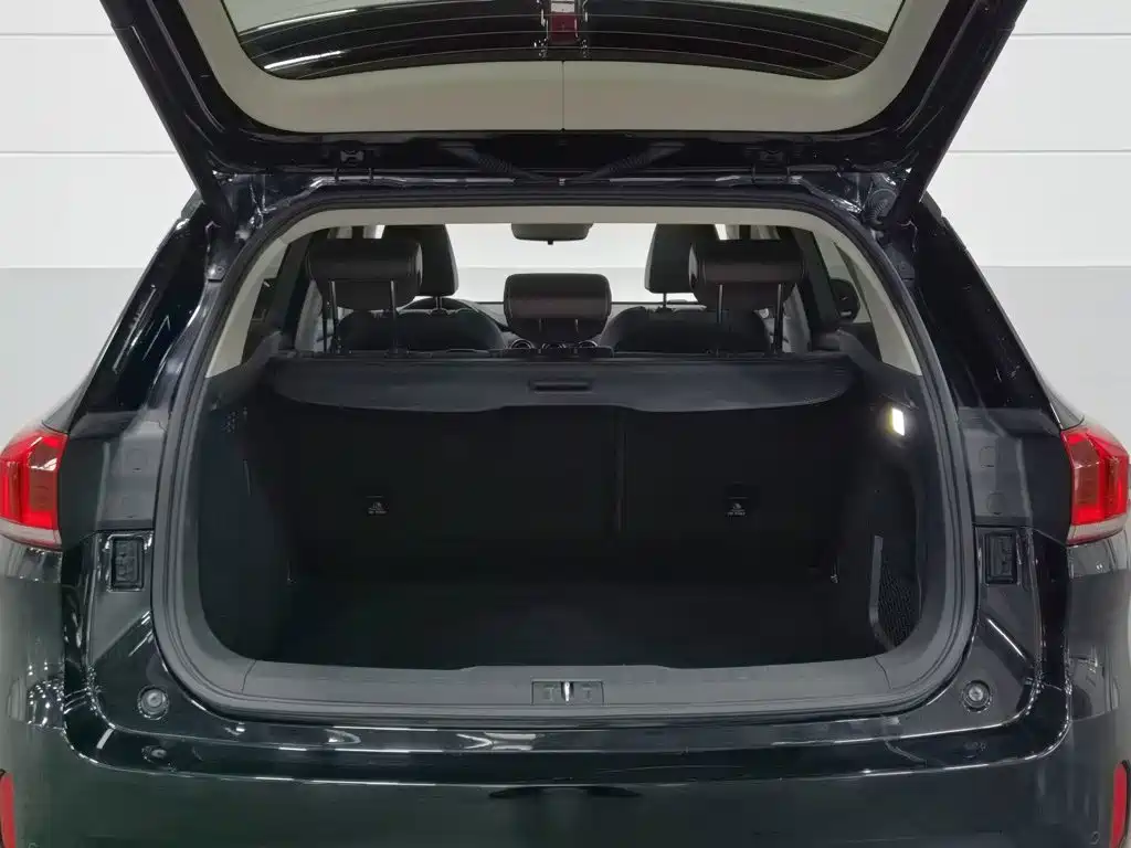 Wey Wey VV6 — миниатюра 16