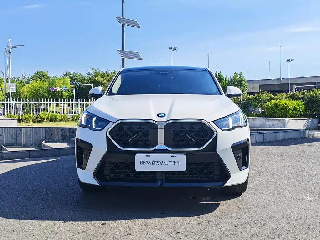 BMW X2 (Import) — миниатюра 2