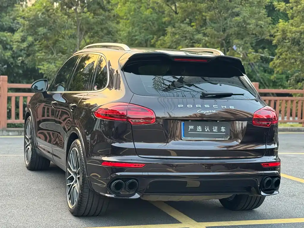 Porsche Cayenne — миниатюра 6