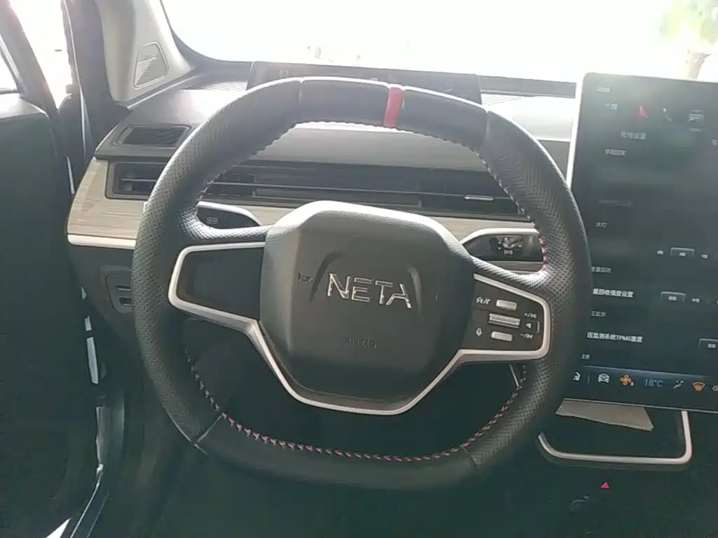 Neta Neta V — миниатюра 11