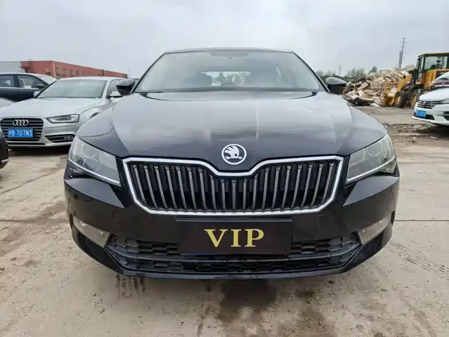 SKODA SPEED PIE 2019