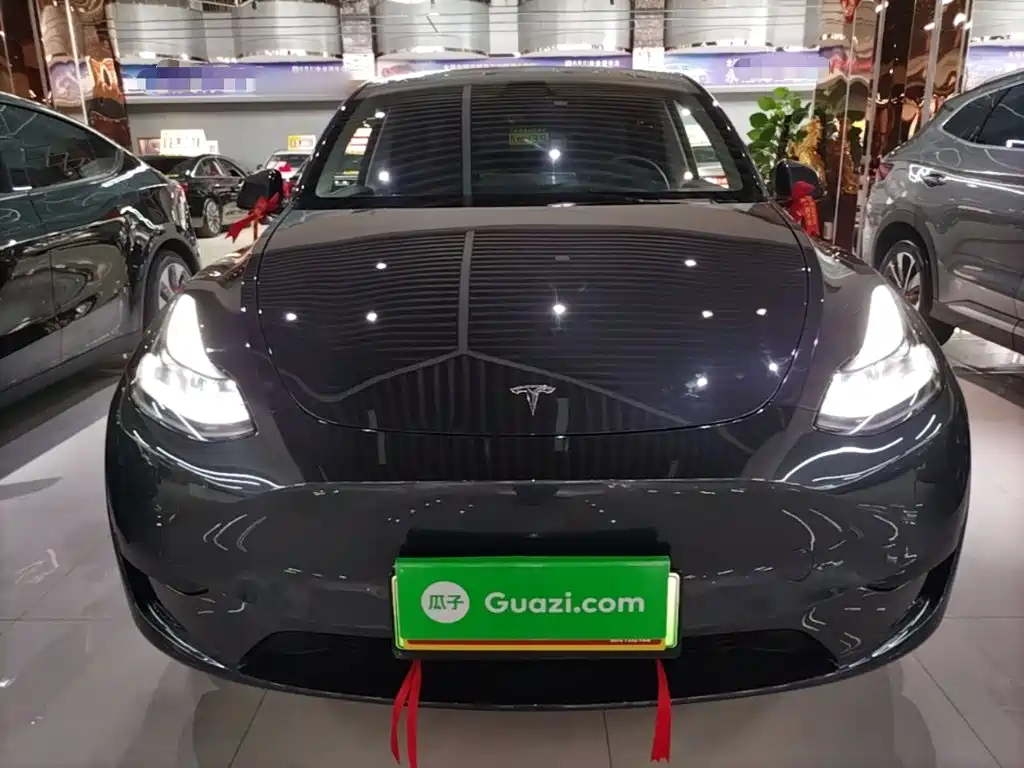 Tesla Model Y — миниатюра 3