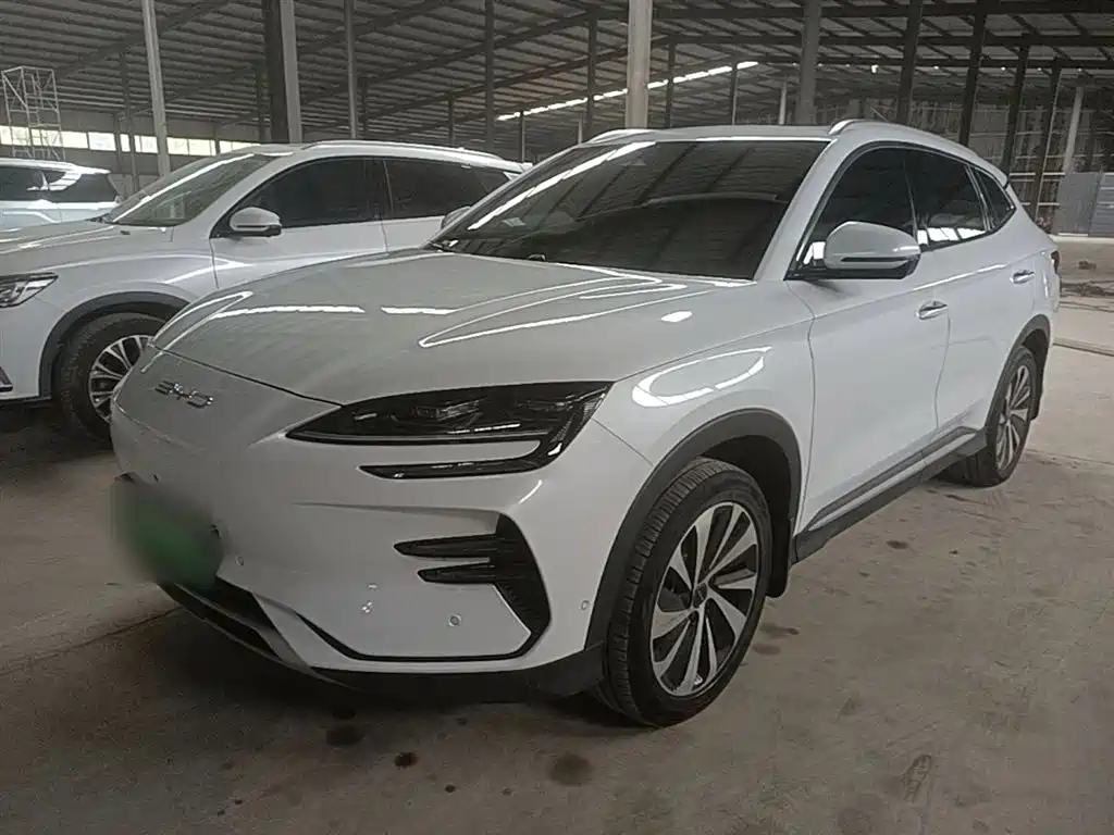Byd PLUS New Energy 2024