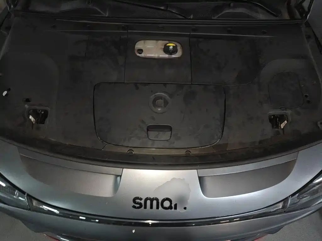 smart Smart #1 — миниатюра 16