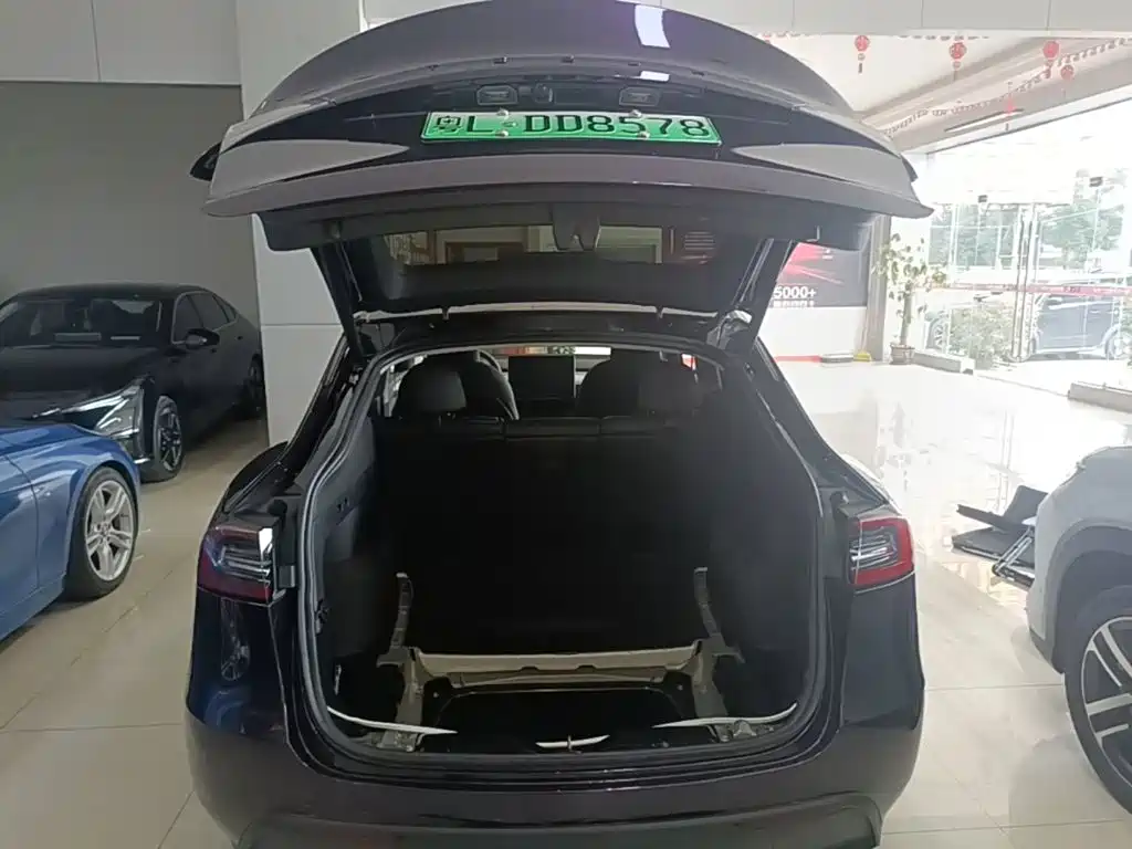 Tesla Model Y — миниатюра 19