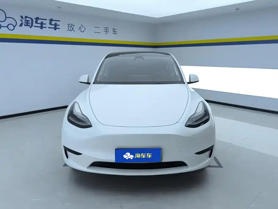 Tesla Model Y — миниатюра 2