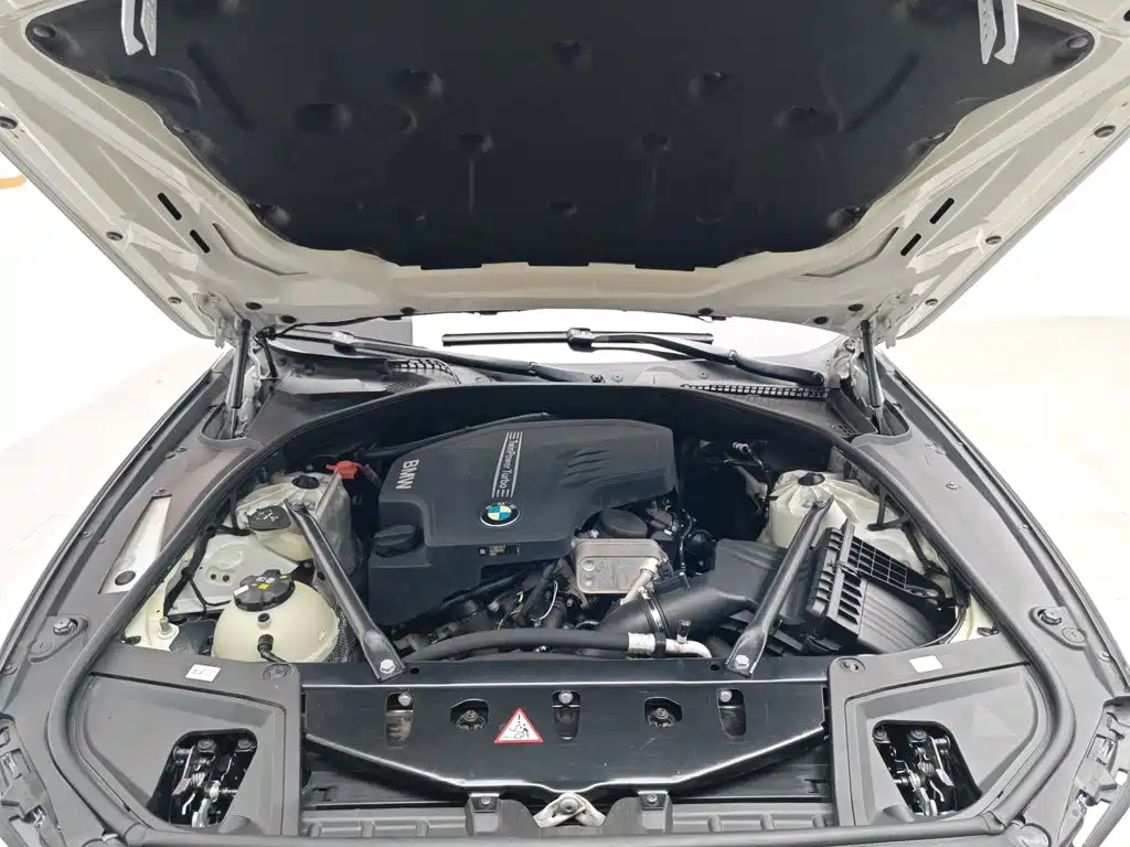 BMW 5 Series 5 2017 525Li Lead