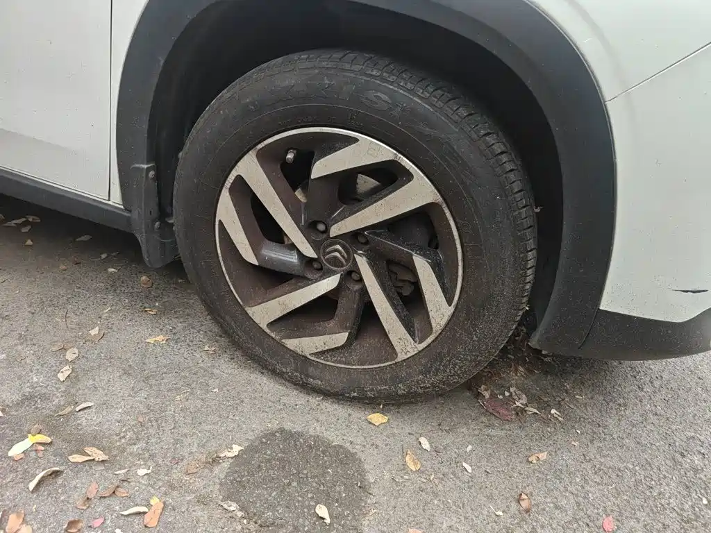 Citroen C3-XR — миниатюра 24