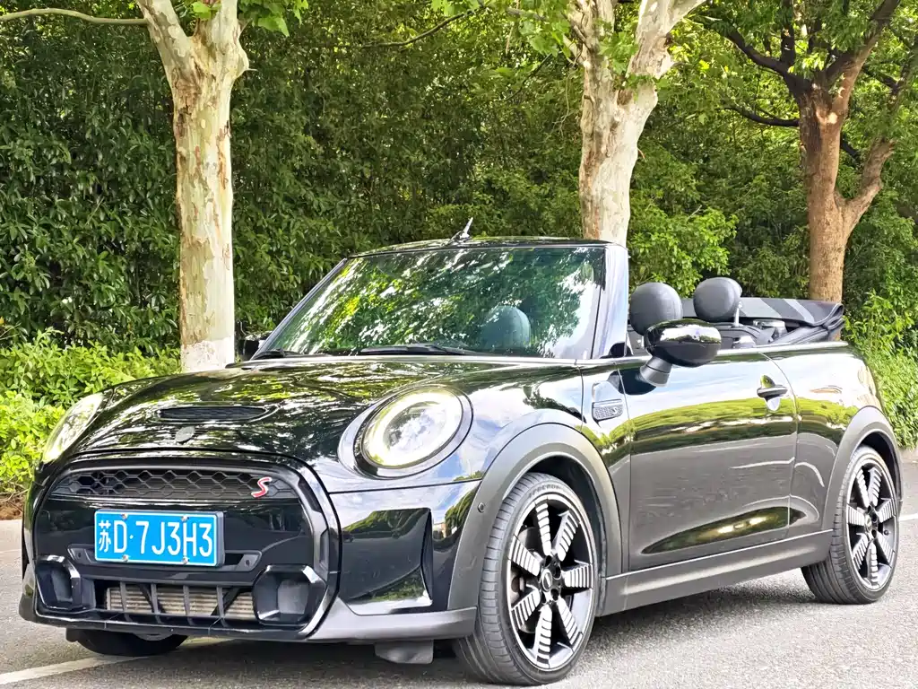 Mini Mini 2023