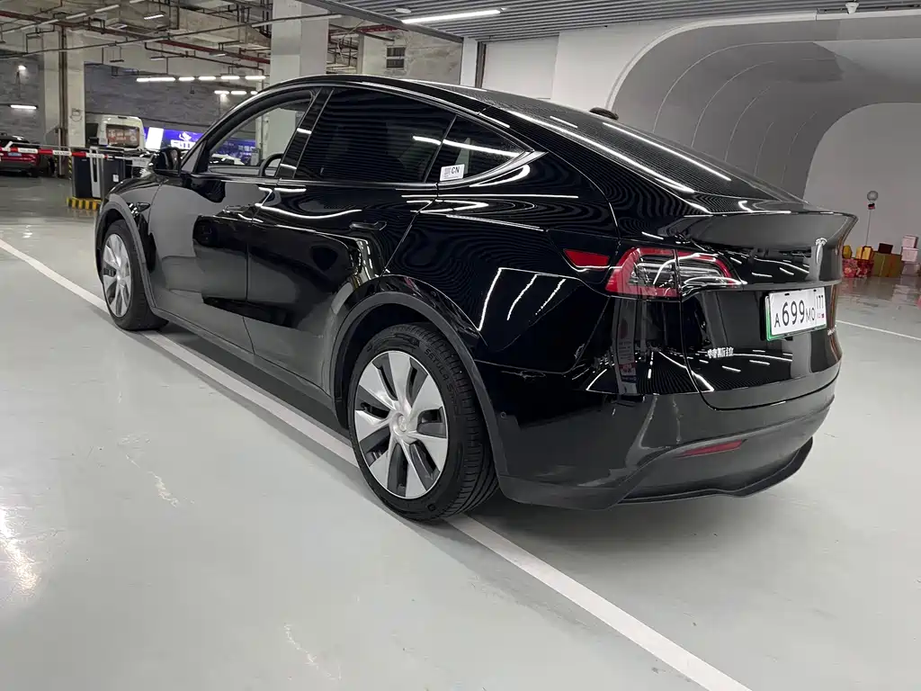 Tesla Model Y — миниатюра 14