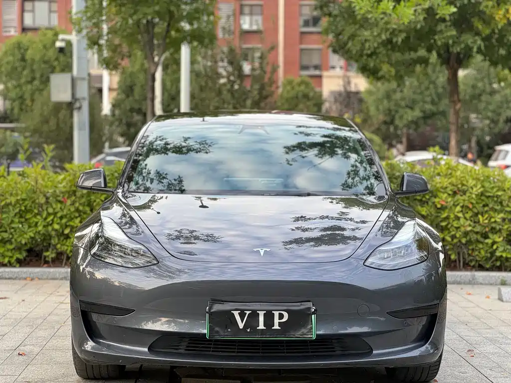 Tesla Model 3 — миниатюра 2