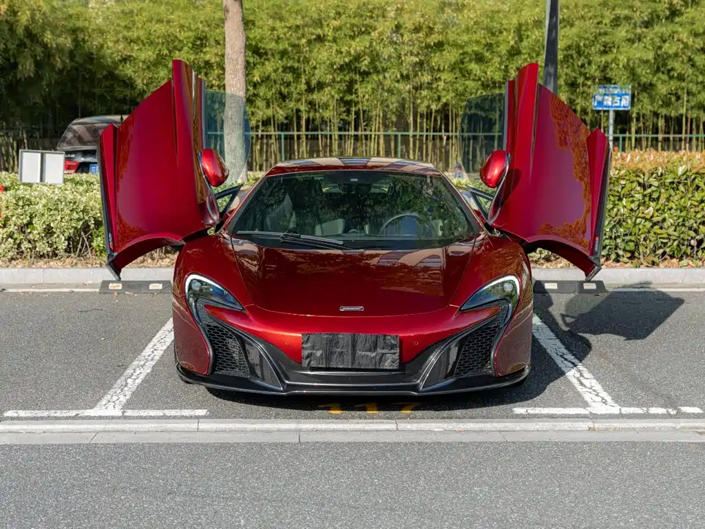 McLaren 650S — миниатюра 2