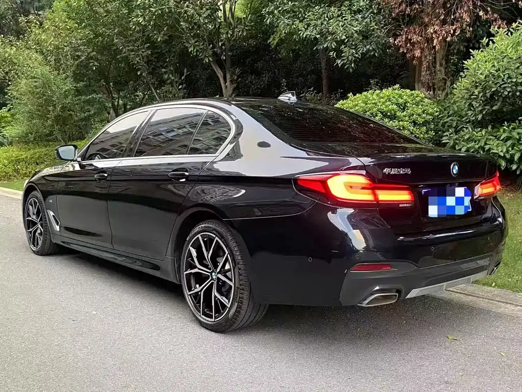BMW 5 Series — миниатюра 5