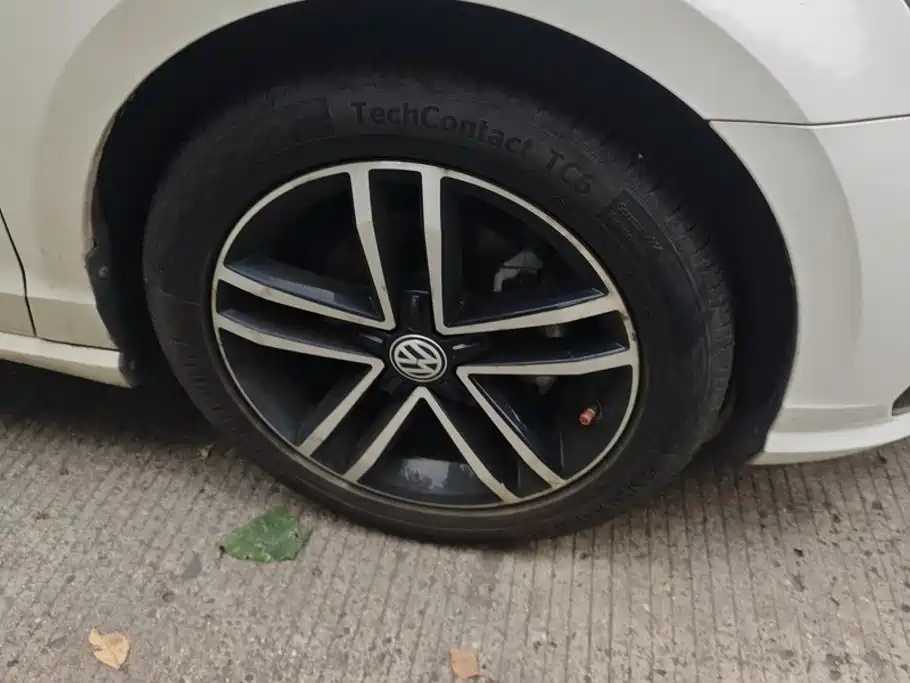 Volkswagen Lamando — миниатюра 6
