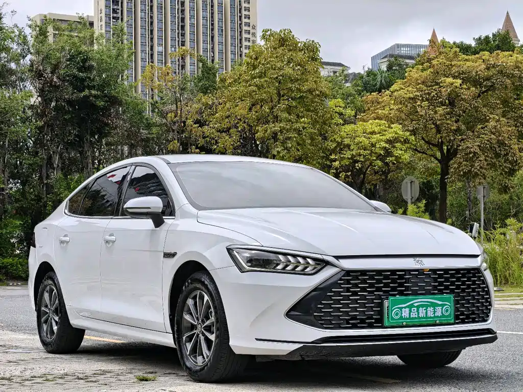 BYD Qin Plus PLUS 2024 DM-i 55KM Lead