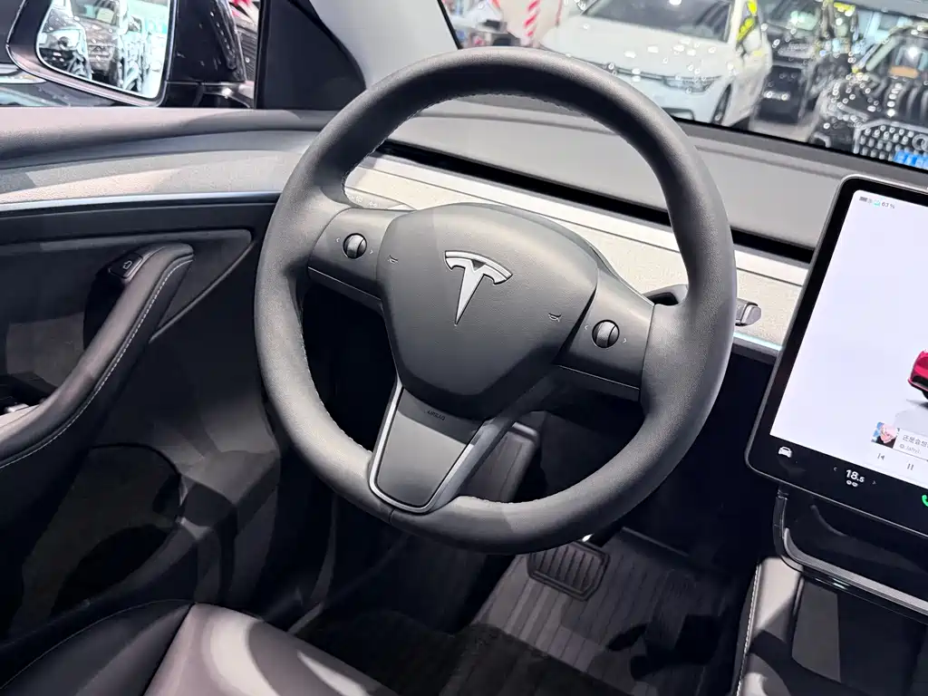 Tesla Model Y — миниатюра 15