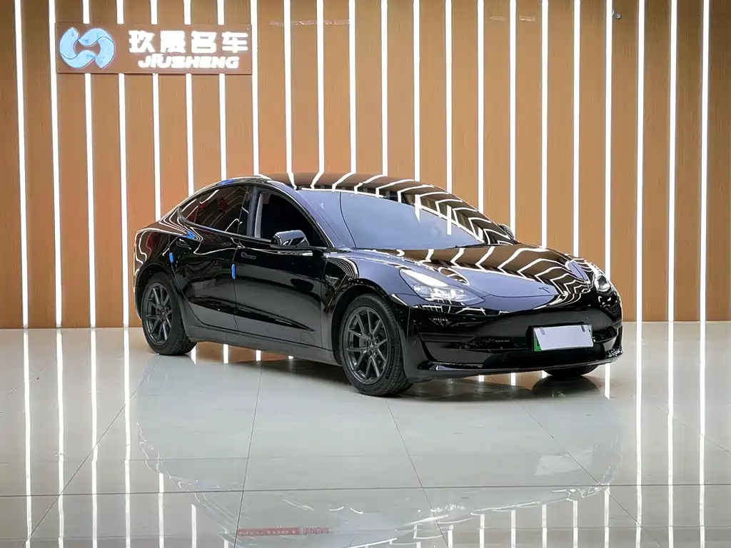Tesla Model 3 — миниатюра 3
