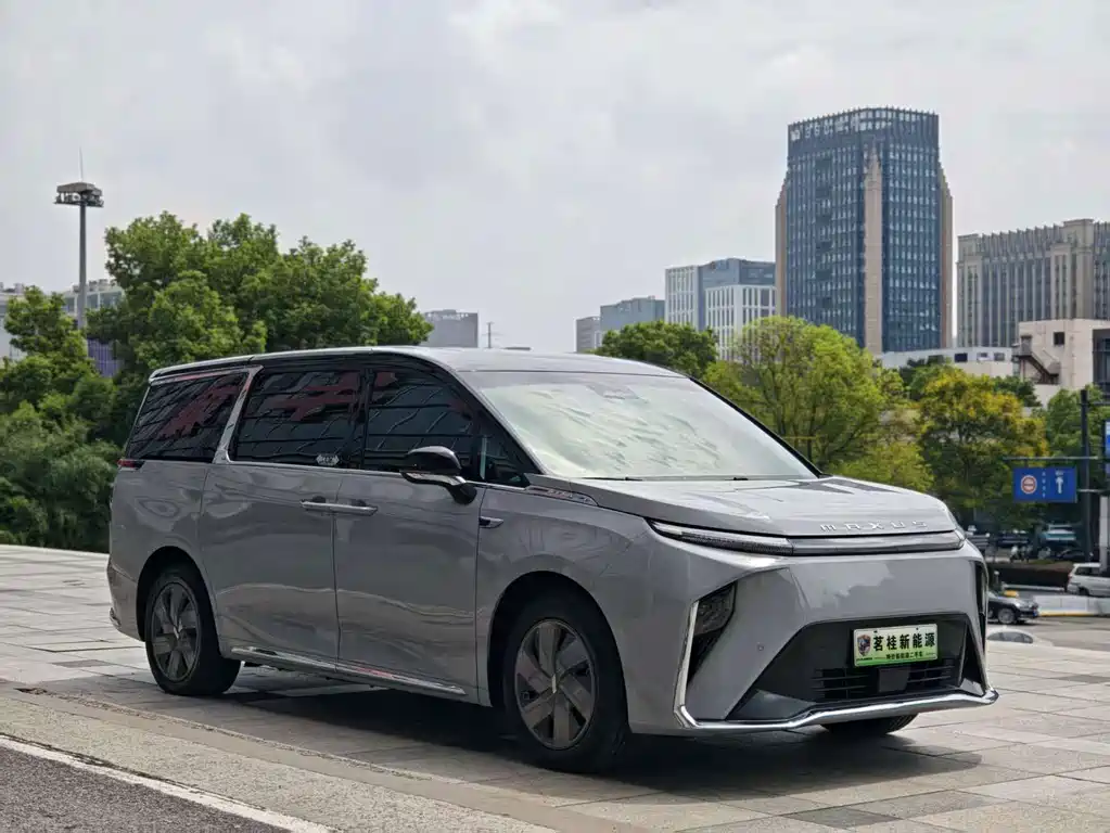 MAXUS Dajia 9 — миниатюра 3