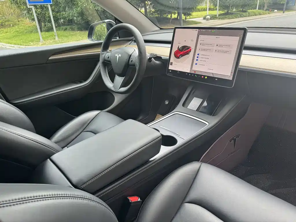 Tesla Model Y — миниатюра 7