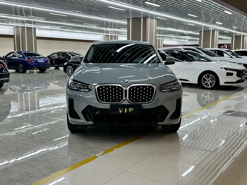 BMW X4 — миниатюра 2