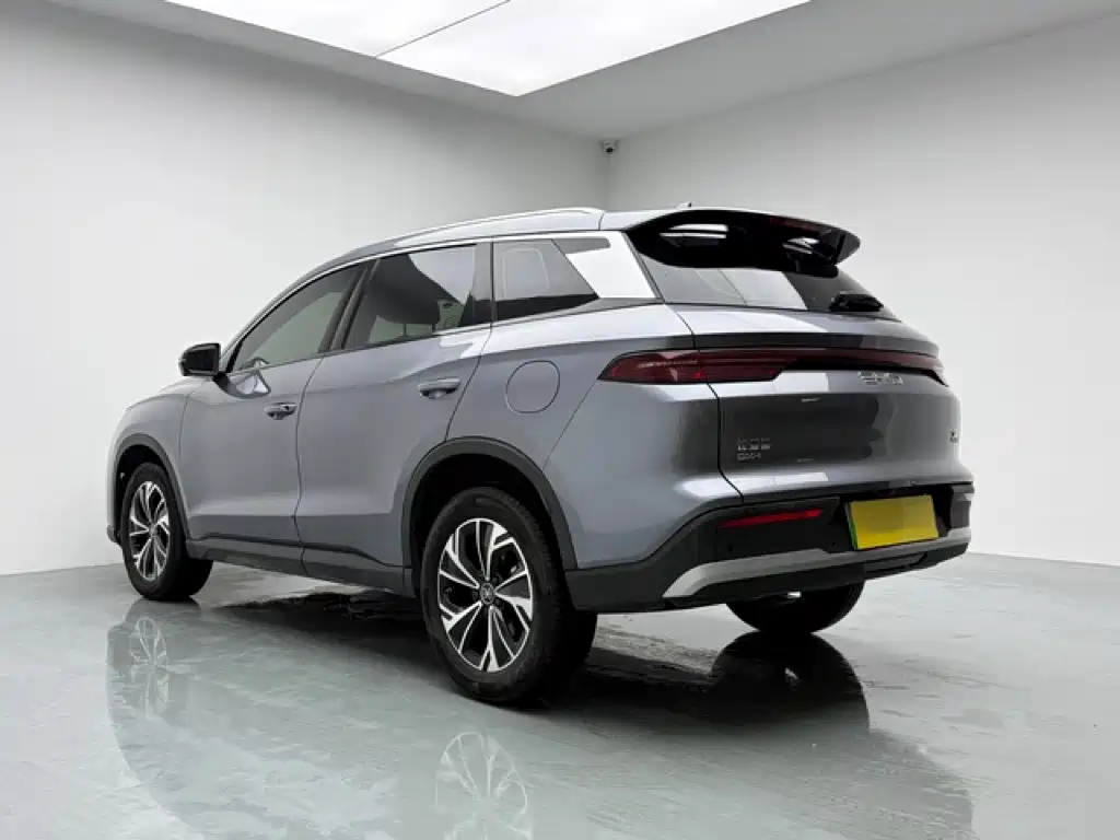 BYD Pro New Energy — миниатюра 4