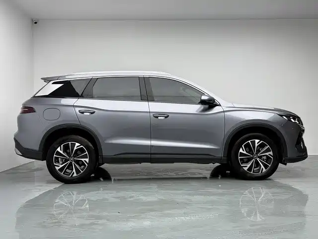 BYD Pro New Energy — миниатюра 8