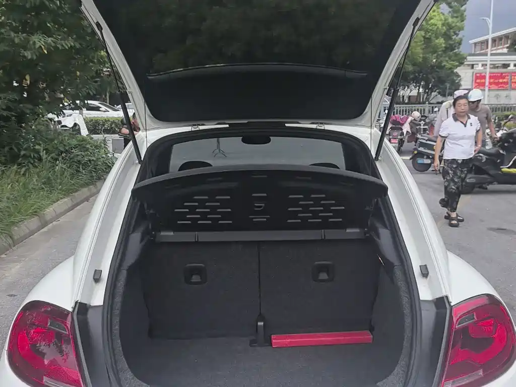 Volkswagen Beetle — миниатюра 16