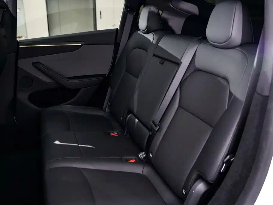 Tesla Model Y — миниатюра 20