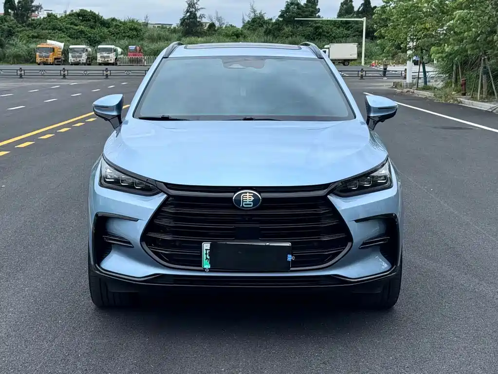BYD Tang New Energy — миниатюра 2