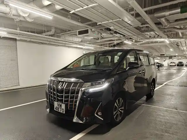 TOYOTA ELFA 2019